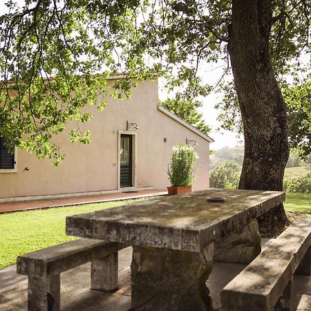 Pensjonat Country House Poggio Aione Catabbio Zewnętrze zdjęcie