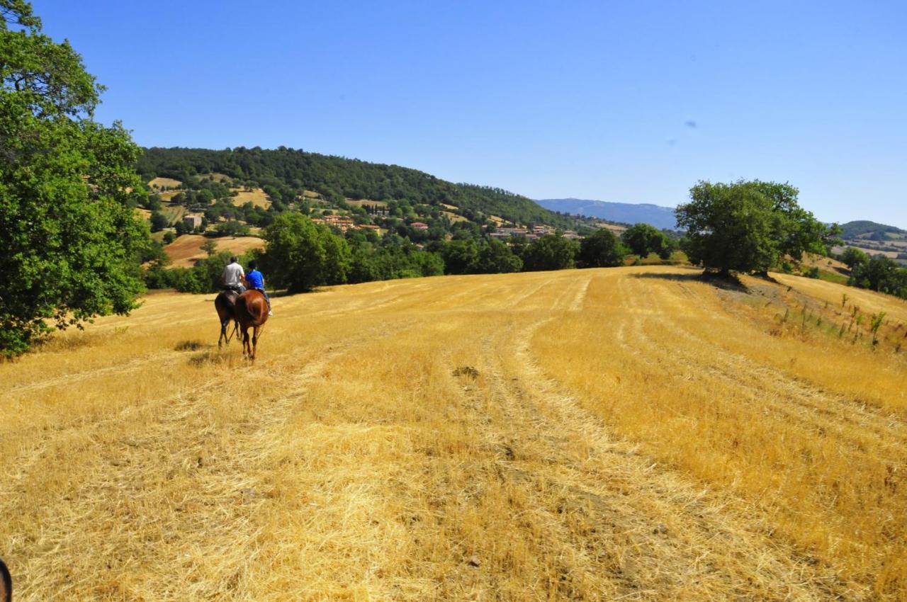 Pensjonat Country House Poggio Aione Catabbio Zewnętrze zdjęcie