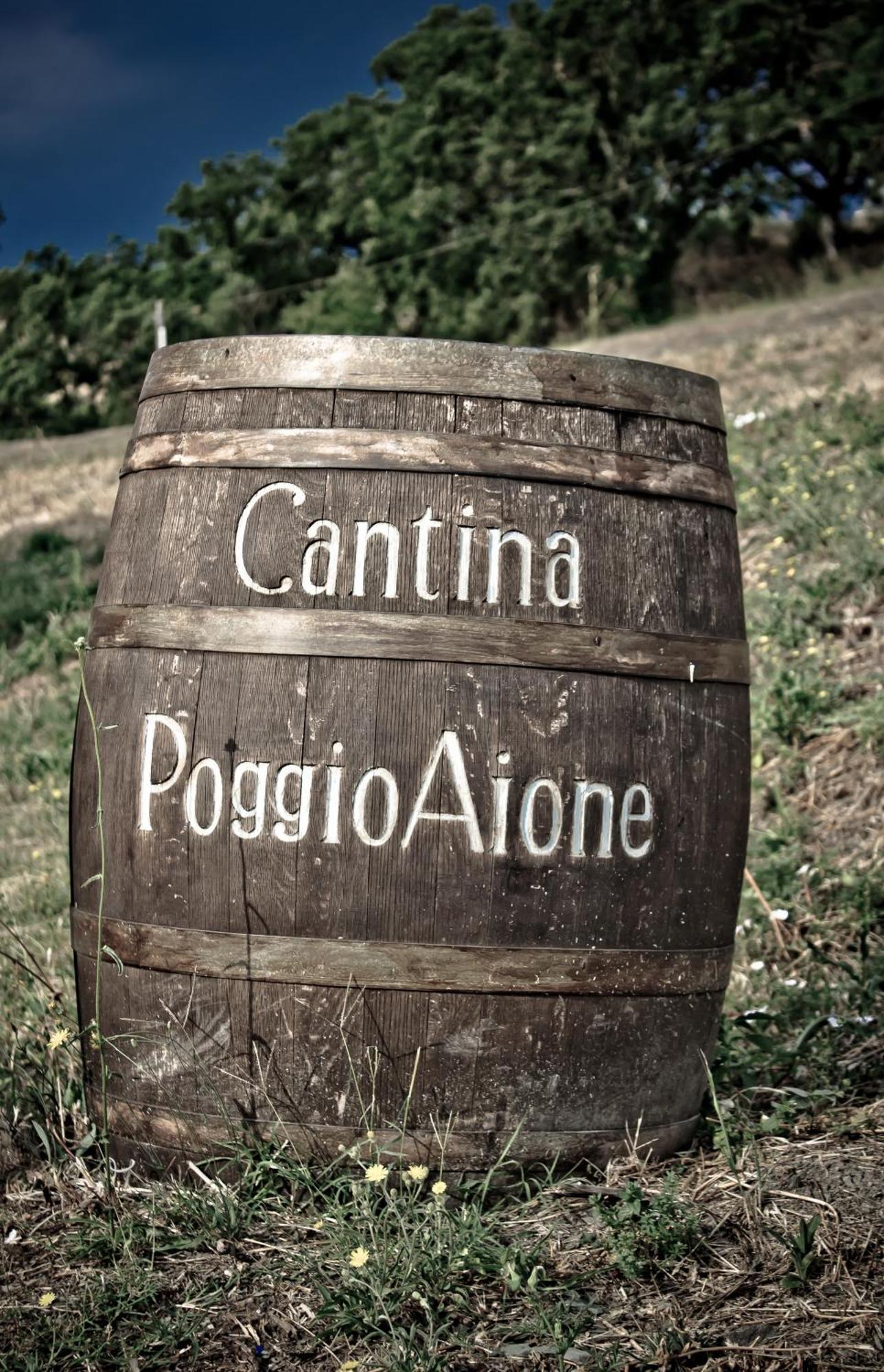 Pensjonat Country House Poggio Aione Catabbio Zewnętrze zdjęcie