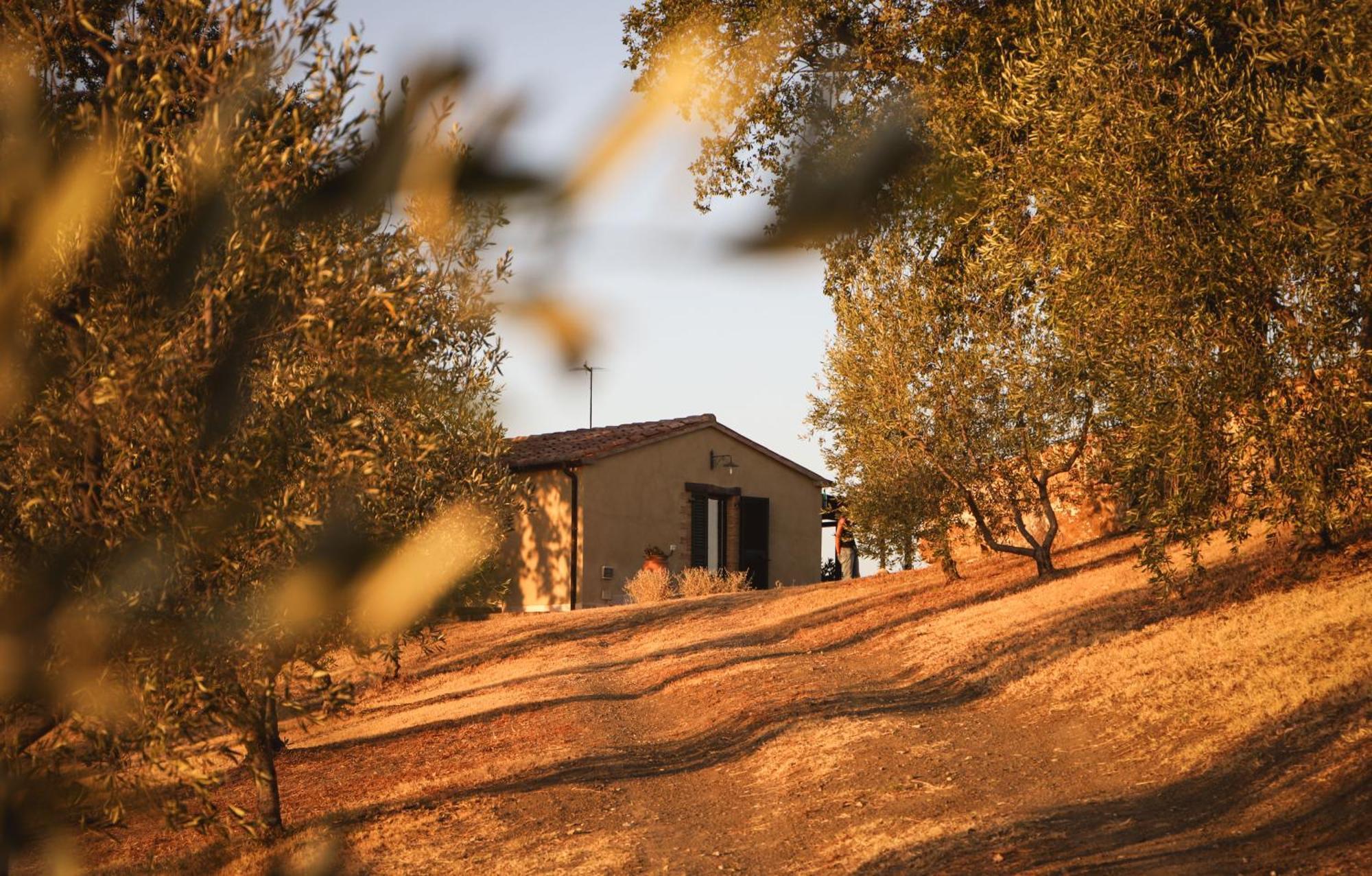 Pensjonat Country House Poggio Aione Catabbio Zewnętrze zdjęcie