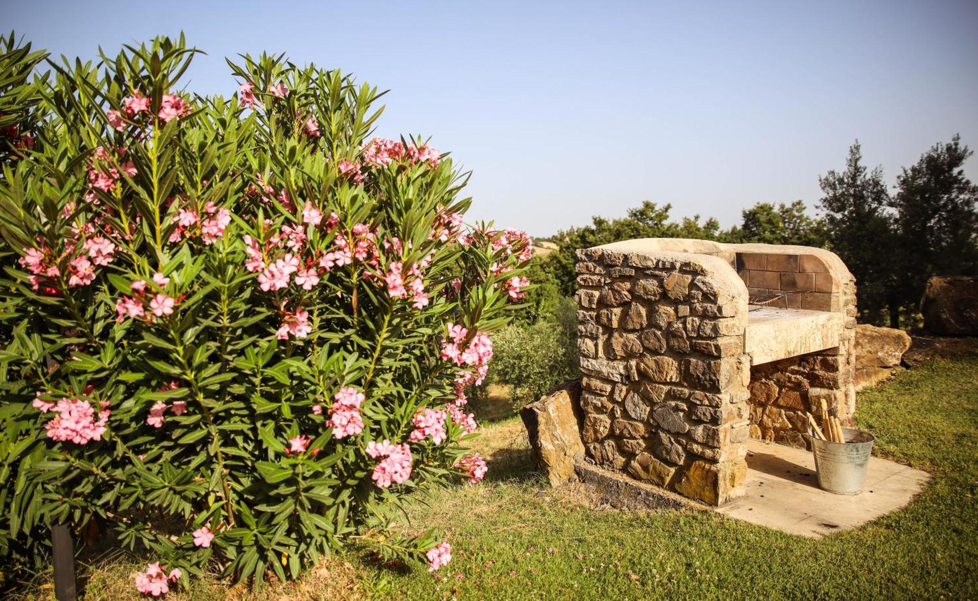 Pensjonat Country House Poggio Aione Catabbio Zewnętrze zdjęcie